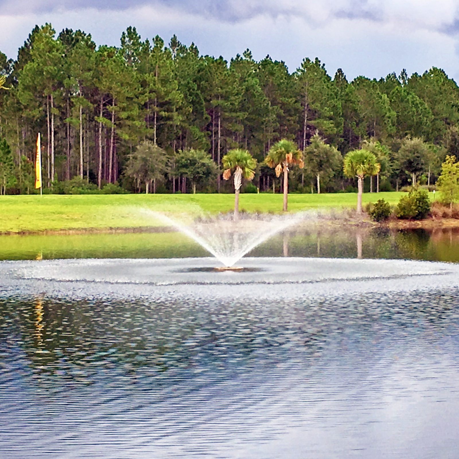 Vertical Pond Floating Fountain Series Vertex Aquatic Solutions