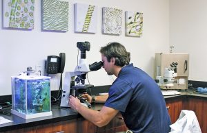 Patrick Goodwin using microscope